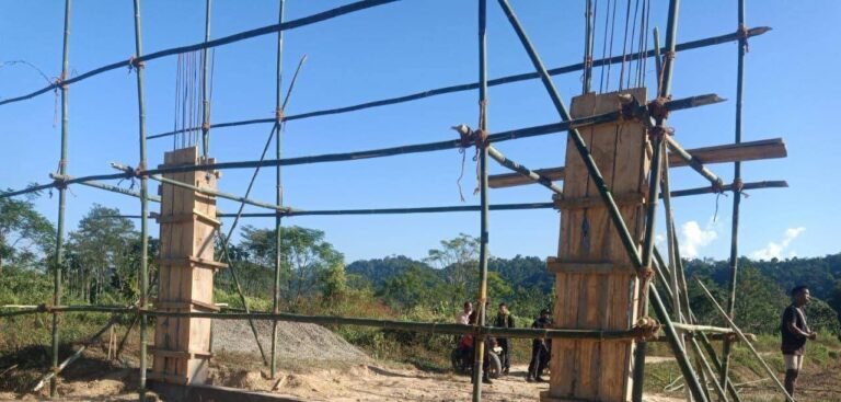 Nagaland Village Council Dismantles Gate Built 40 Metres Inside Assam Territory